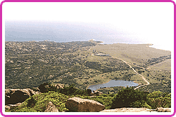 The Asinara Isle - Click to enlarge the picture